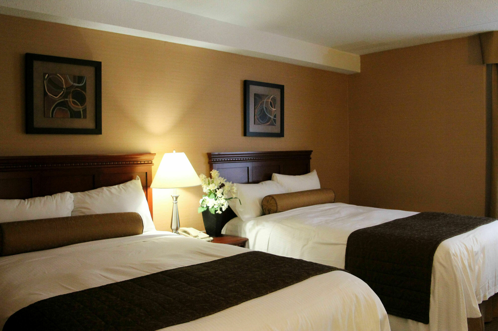 Welcominns Ottawa Exterior foto